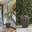 Pot Planter-979810679