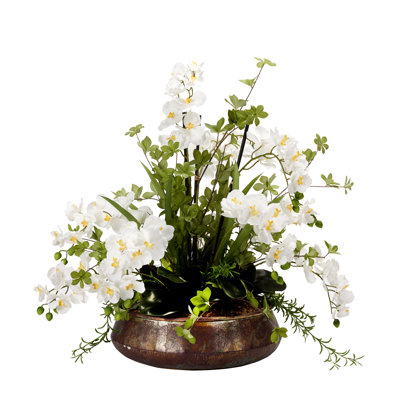 Orchid Arrangement in Planter