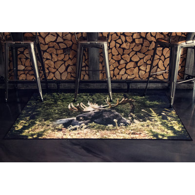Tapis Moose