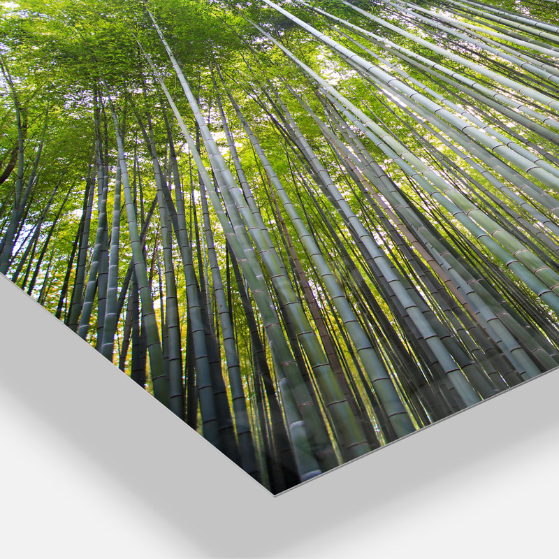 Forêt de bambous de Kyoto au Japon. «Multipanel Forest», reproduction d'art murale en métal