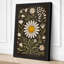 Daisy Studies Botanical - Wrapped Canvas-878557705-878557713