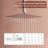 Herathena 3 Functions Ceiling Mounted Luxury Shower System with 6 Body Jets (Rough-in Valve Included)-66097077