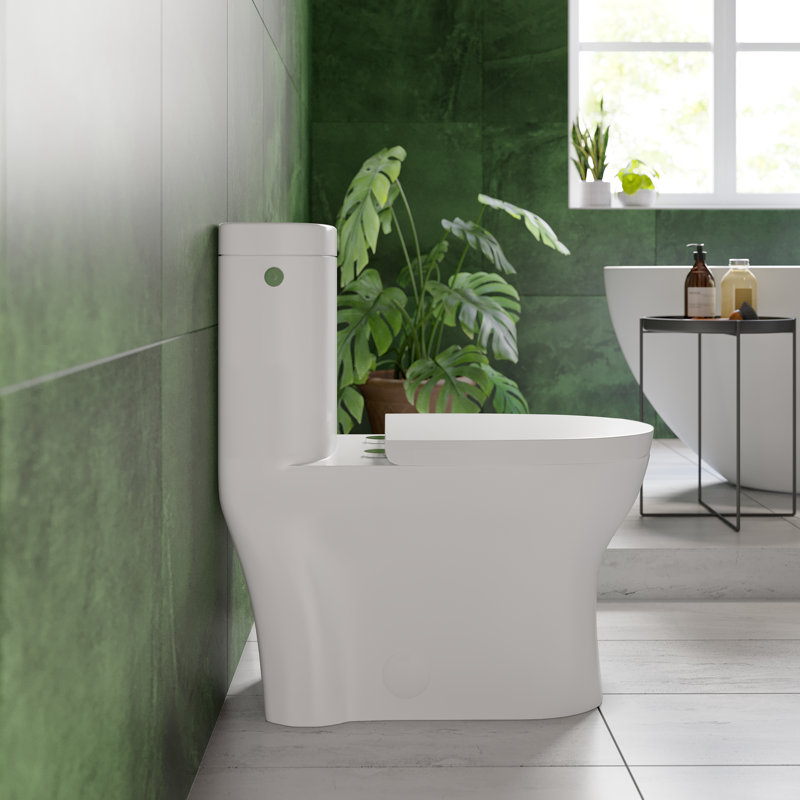 Monaco One-Piece Elongated Toilet Dual-Flush 1.1/1.6 gpf, Glossy White, Dual, Top