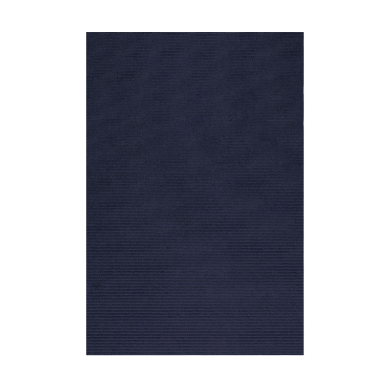 Tapis intérieur / extérieur Haldrin, Rectangle 2 pi x 4 pi