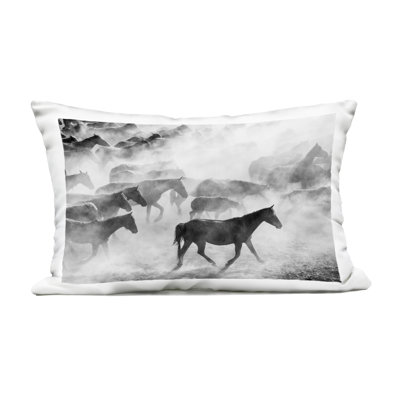 Dusty Road Horse Photograph Outdoor Printed Pillow, design by Sisi and Seb