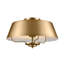Luminaire suspendu convertible-287768881-287768880