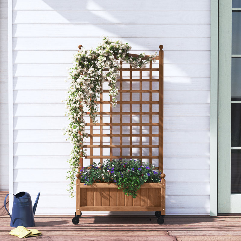 Allistir 50" H Wood Planter Box with Trellis