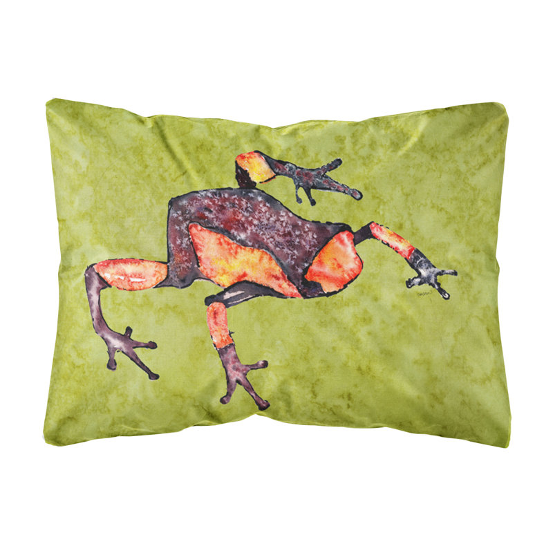 Coussin intérieur/extérieur grenouille