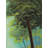 Beautiful Landscape With Lake | Oil On Canvas | By Devraj