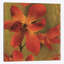 « on fire i », impression sur toile-31853224-73202965-73202960