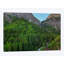 « a mountain of green » par bill sherrell, impression sur toile tendue-73789309-73789310-73789311