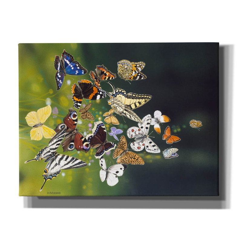 «Butterflies» par Harro Maass, art mural sur toile, L 34 po x H 26 po x P 1,5 po