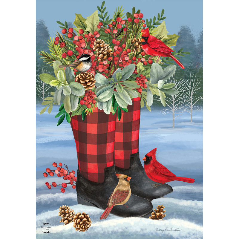 Winter Boots House Flag