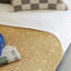 Ensemble de draps Ultimate Percale 100% coton-50997060-33005148