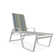 Holna Outdoor Rust-Resistant Metal Chaise Lounge