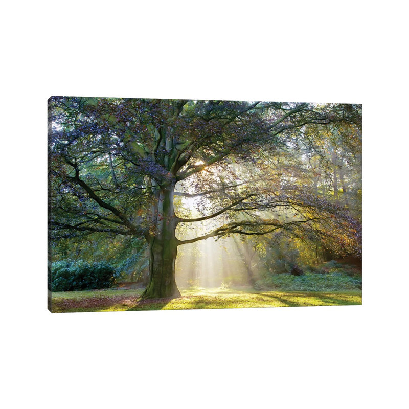 The Natural Queen by Lars Van De Goor - Wrapped Canvas Gallery-Wrapped Canvas Giclée, 20.32 cm H x 30.48 cm W