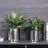 Anse Handmade Metal Pot Planter