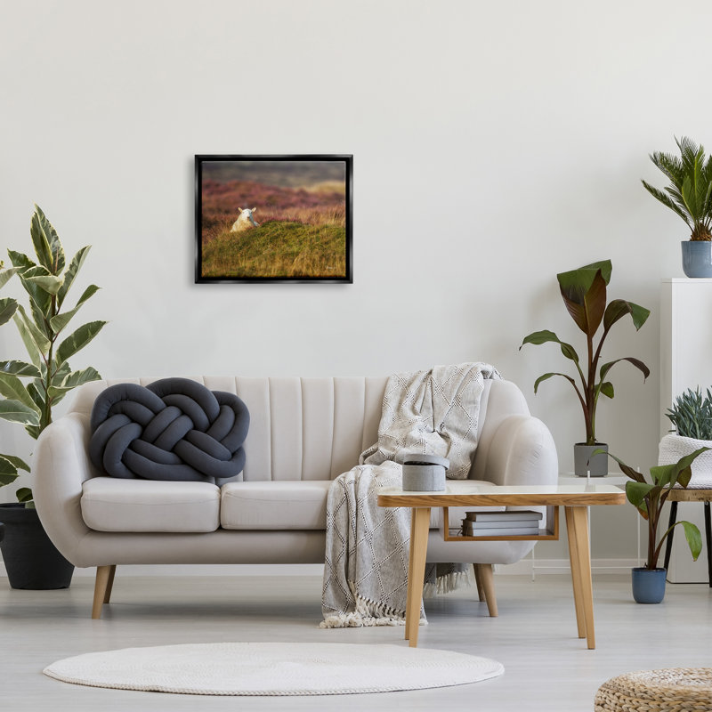 Lone Sheep in Meadow, campagne, campagne, par James Dobson - Photographie sur toile tendue, H 17 po x l 21 po x P 1,5 po