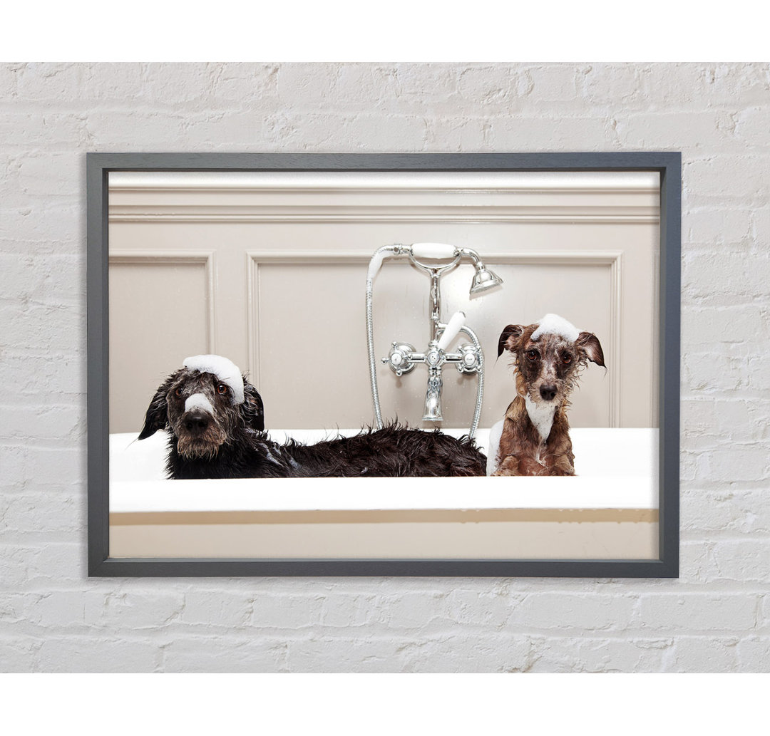 Bath Time Dogs - Einzelne Bilderrahmen Kunstdrucke auf Leinwand