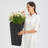 2-Pack Tall Tree Planter-1460680049-1412527688-1412527689