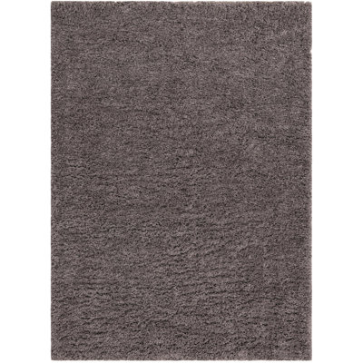Almendarez Indoor Rug