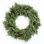 Blue Point Juniper Wreath