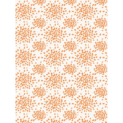 COUVERTURE MURALE DE Feux d'artifice