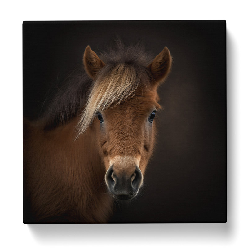 Pony - No Frame Print