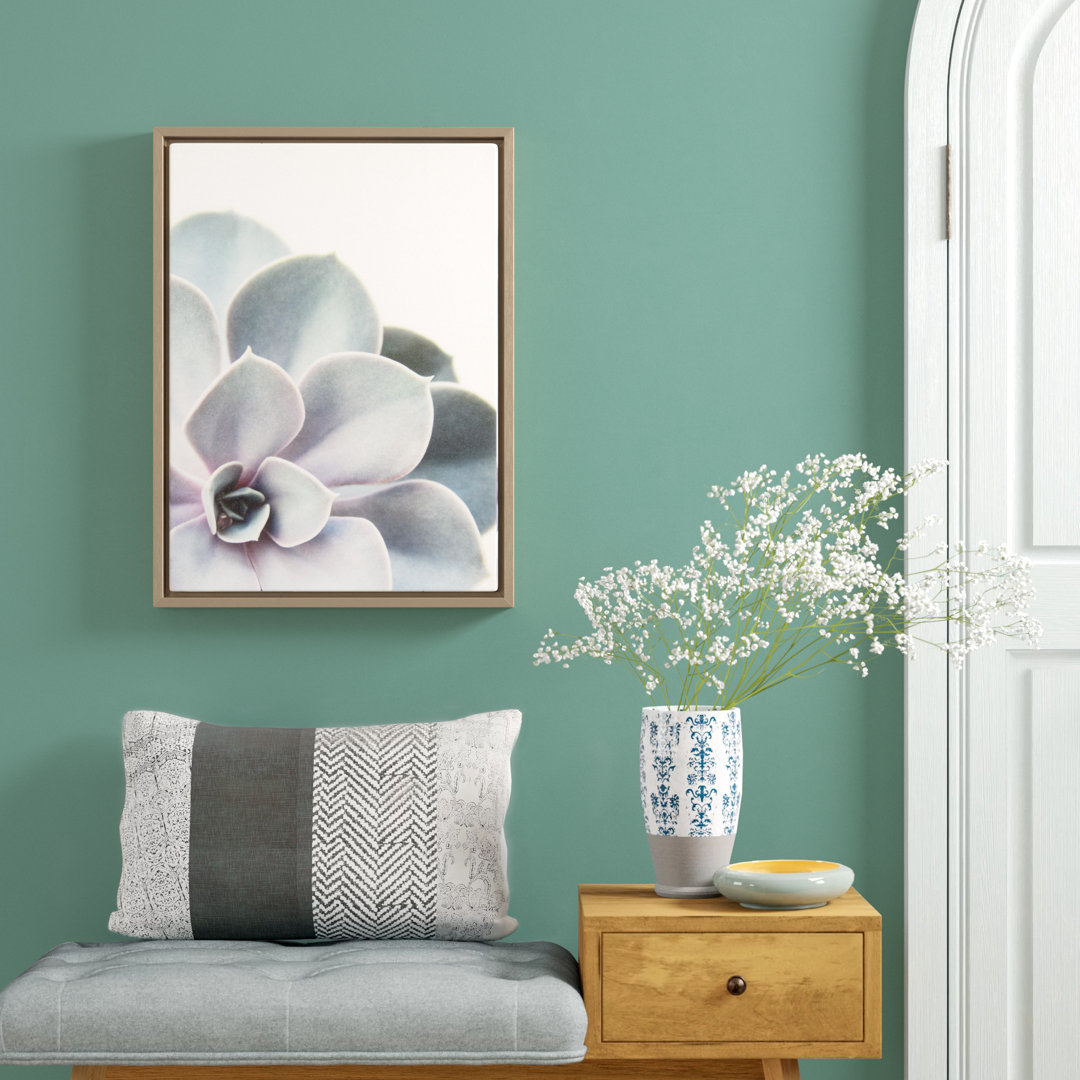 Sylvie " Sylvie Gold Succulent 5 " by Emiko And Mark Franzen Of F2Images Dakota Fields