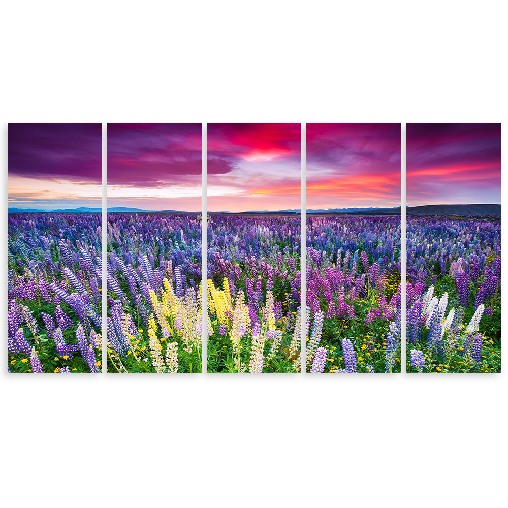 Leinwandbild Flower Meadow Lavender Landscape