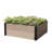 Raised Garden Bed-1517026233