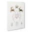 Crabs & Sea Creatures PL. 8 by J.E. De Kay - Wrapped Canvas-55304182