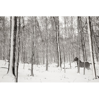 A Snowy Walk II by James McLoughlin - Wrapped Canvas Print