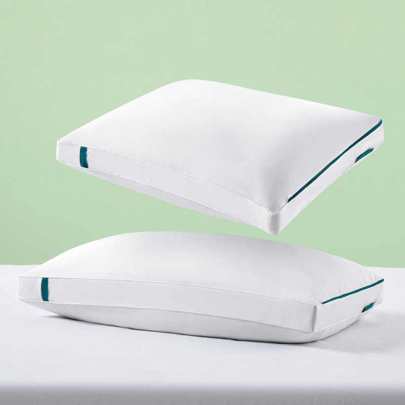 Oreiller écologique moelleux en duvet et plumes, Standard