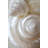 Pearlesce I-133370474