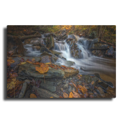 Latitude Run 'Fallen Leaf In Ricketts Glen' by Rick Berk Metal Wall Art, 24" x 16"