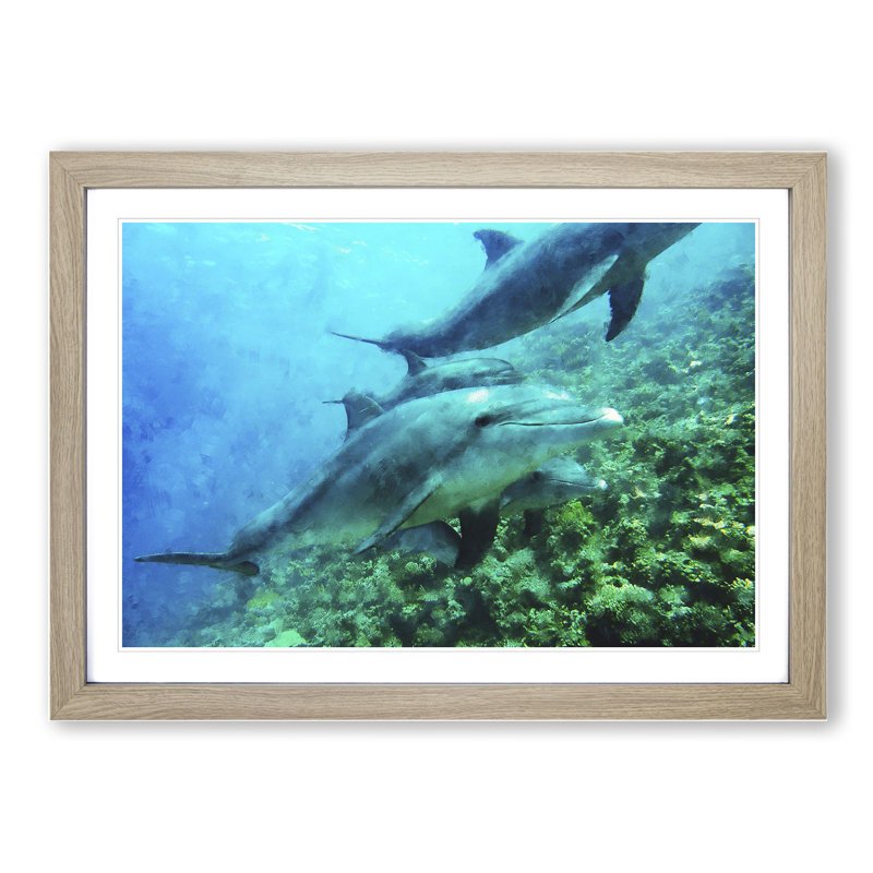 Dolphins - Picture Frame Painting, Oak Framed, 48cm H x 65cm W x 2cm D