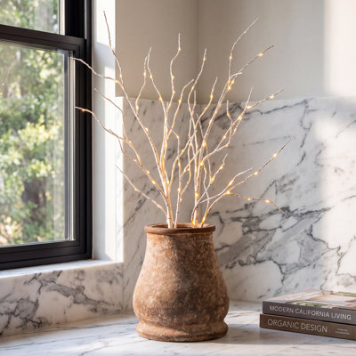 34" Birch Lighted Branches