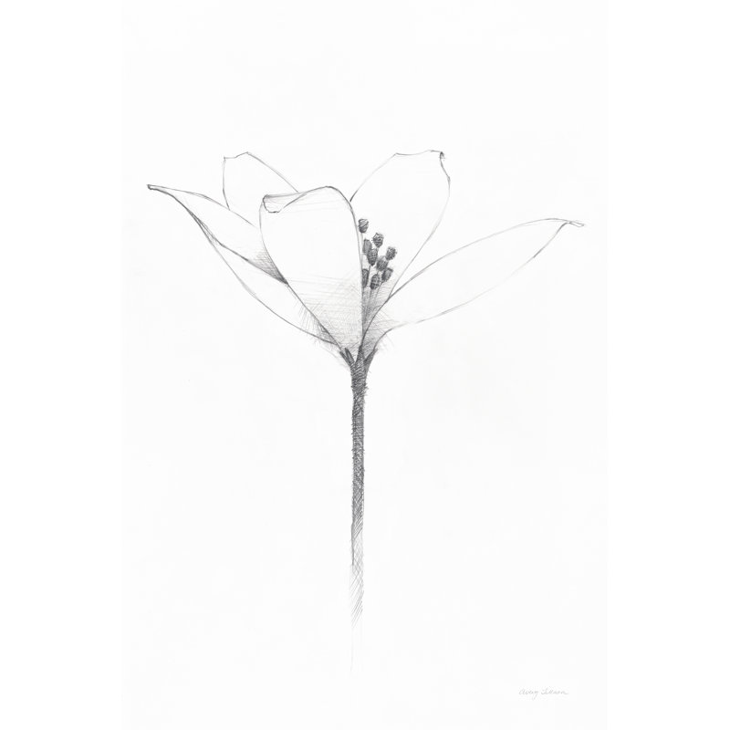 Pencil Floral XI by Avery Tillmon - Wrapped Canvas Print, 46cm H x 30cm W