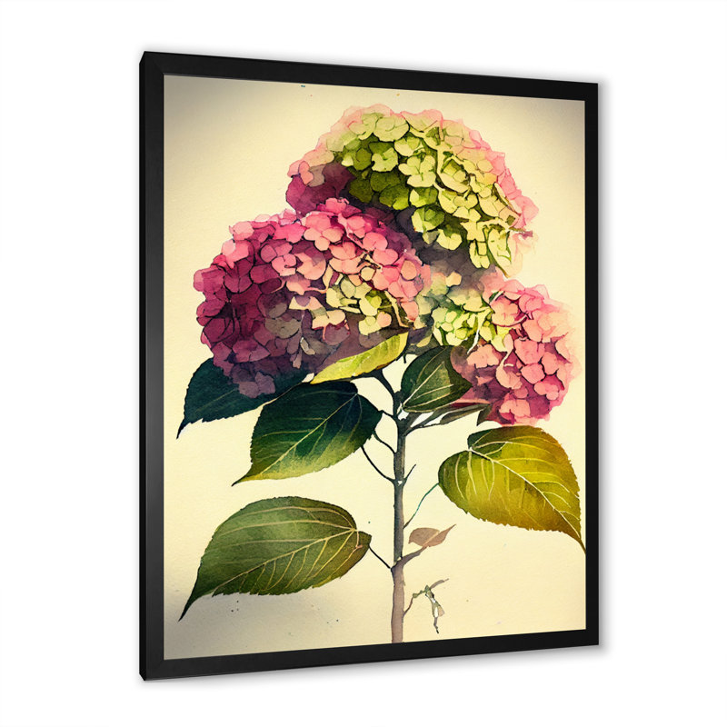 Hydrangena II - reproduction sur toile, Impression noire sur toile encadrée, H 20 po x l 12 po x P 1 po
