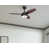 Oil Rubbed Bronze Finish with Walnut Blades