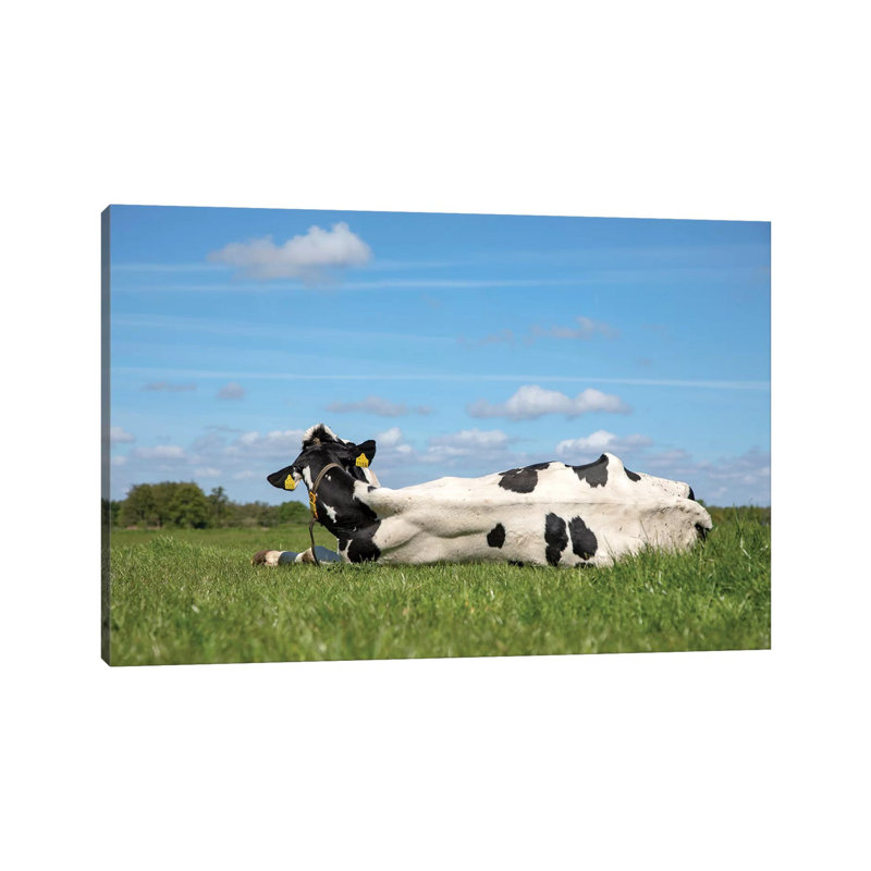 Seize The Day by Clara Bastian - Wrapped Canvas Print, 101.6 cm H x 66.04 cm W x 3.175 cm D