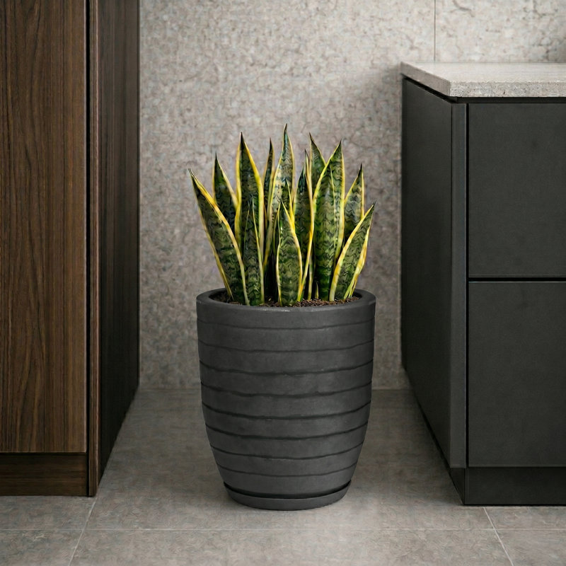 Clumm ECOBO EcoFriendly Round Pot Planter, Ravina Indoor Outdoor use, Four Season Use, 15.7" H x 11.8" W x 11.8" D, Dark Gray