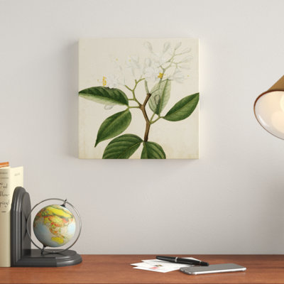 Garden Bounty VI - Wrapped Canvas Print