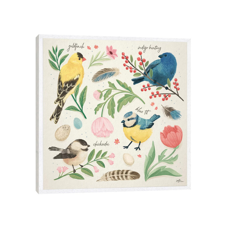 Bird Study II by Janelle Penner - Print on Canvas, 45.72cm H x 45.72cm W x 3.81cm D, White Framed