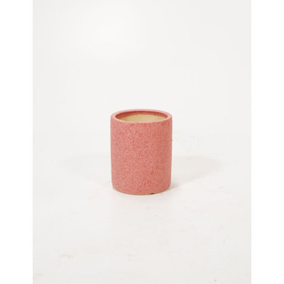 Afira Ceramic Pot Planter