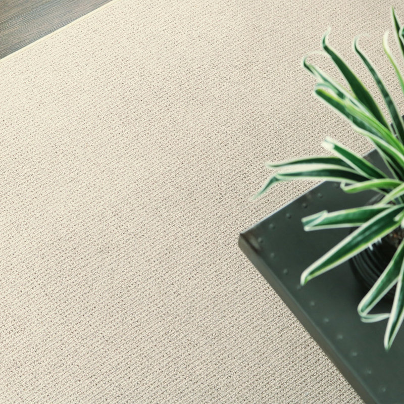 Pamela Wool Indoor Rug, Rectangle 3' x 5'