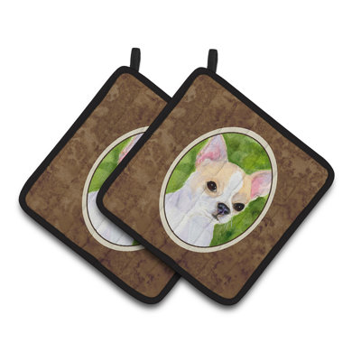Manique Chihuahua Winston porter