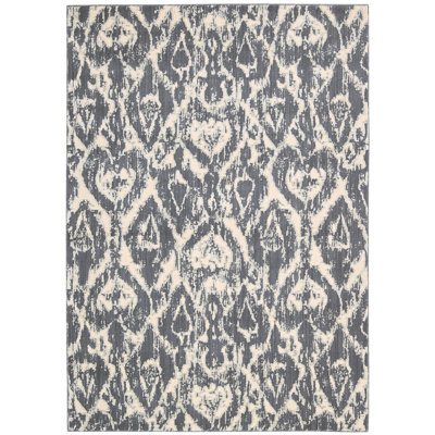 Tapis gris foncé / beige Huntingtown Ikat