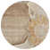 Killingly Washable Floral Indoor / Outdoor Rug